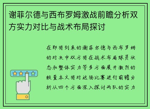 谢菲尔德与西布罗姆激战前瞻分析双方实力对比与战术布局探讨